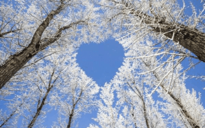 Kino na zámku – promítání pro veřejnost